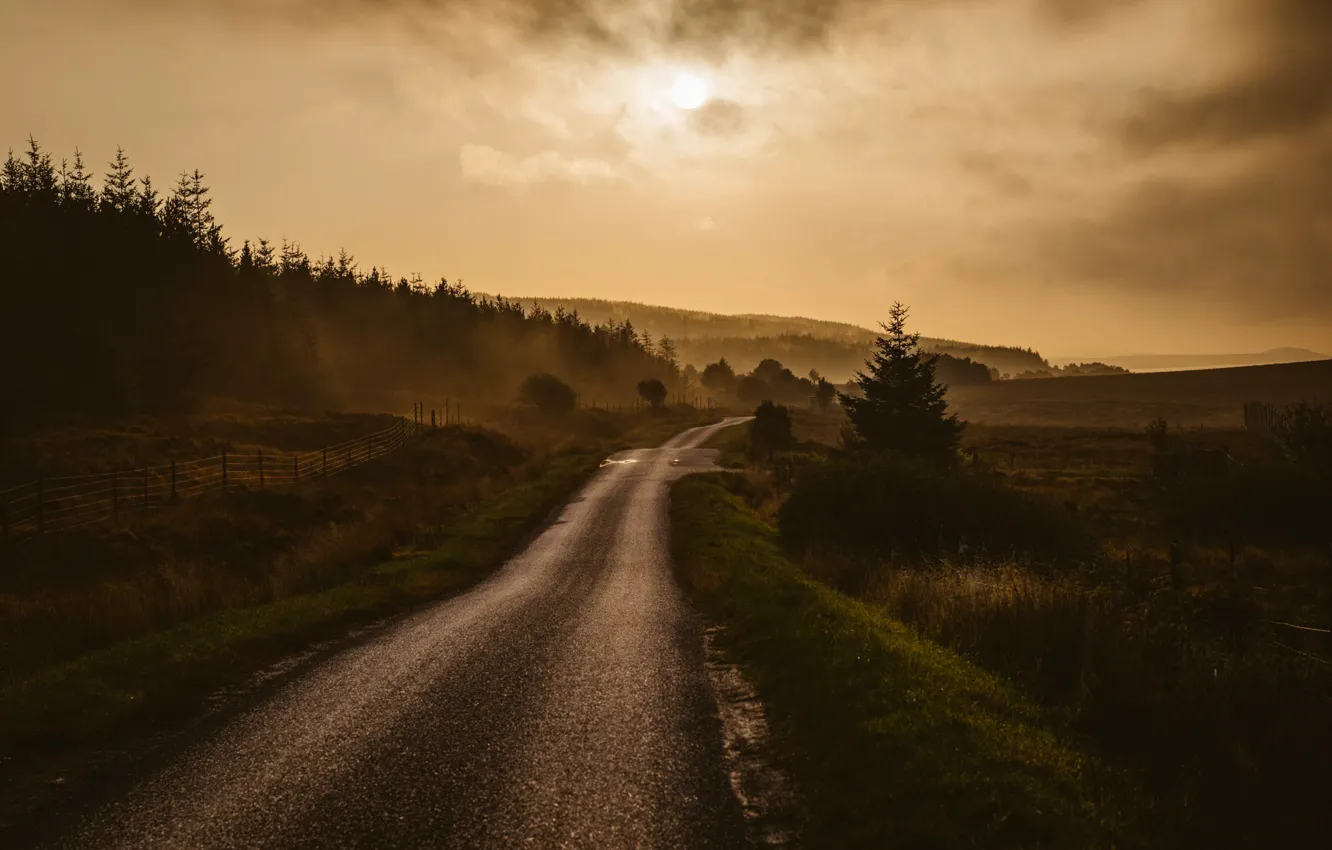 Photo wallpaper road, morning, fog, dawn, countryside, highlands, mist