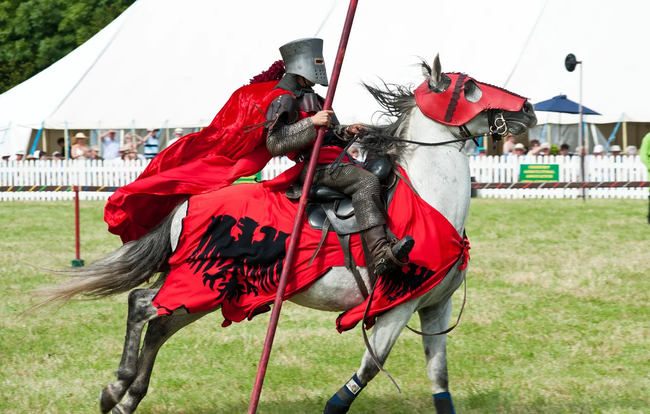 Photo wallpaper metal, horse, horse, armor, warrior, knight