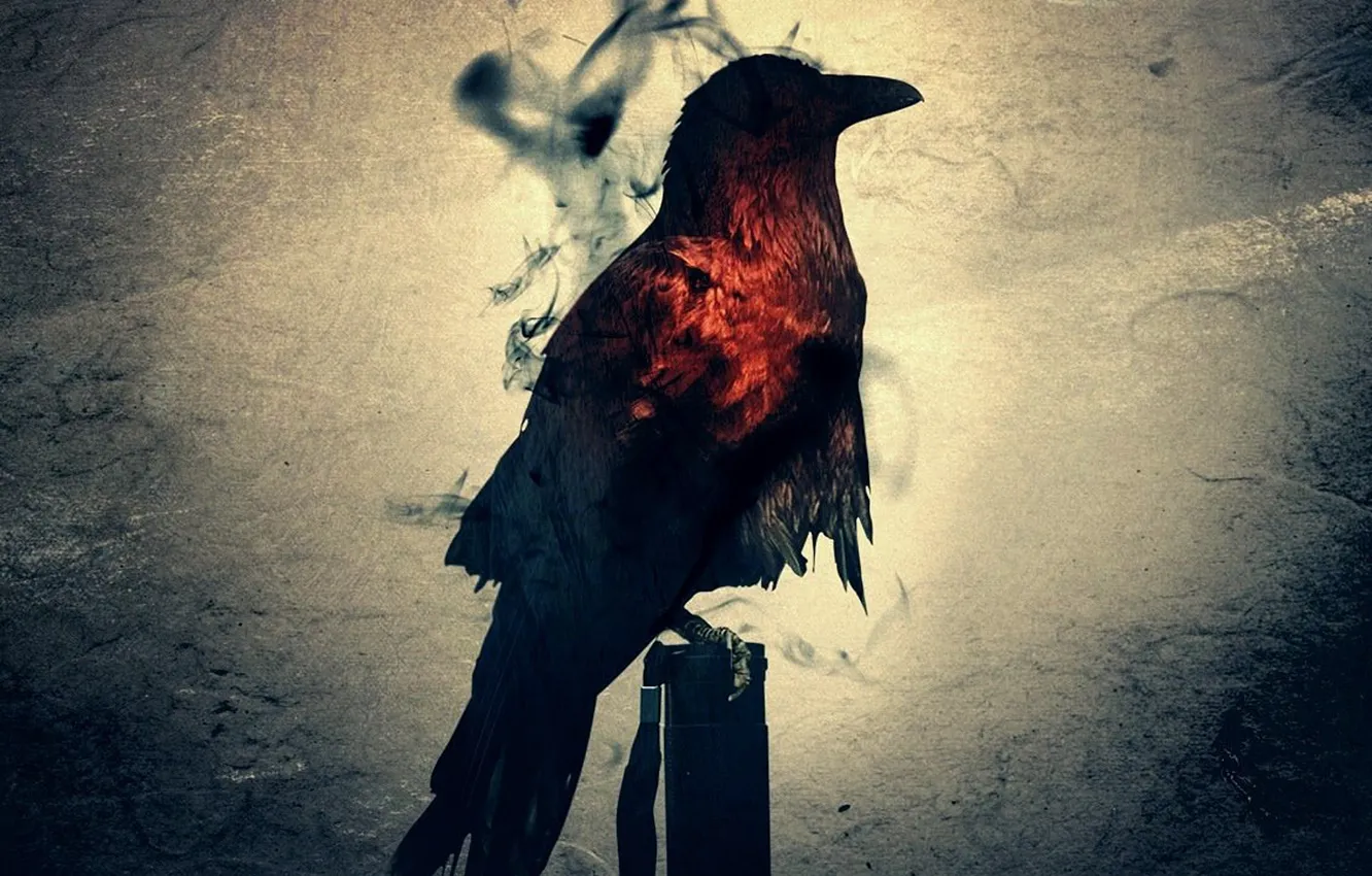 Photo wallpaper bird, silhouette, Raven, bird, crow, gloom