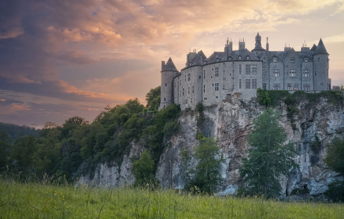 Photo wallpaper field, forest, clouds, mountains, castle, rocks, haze, Belgium