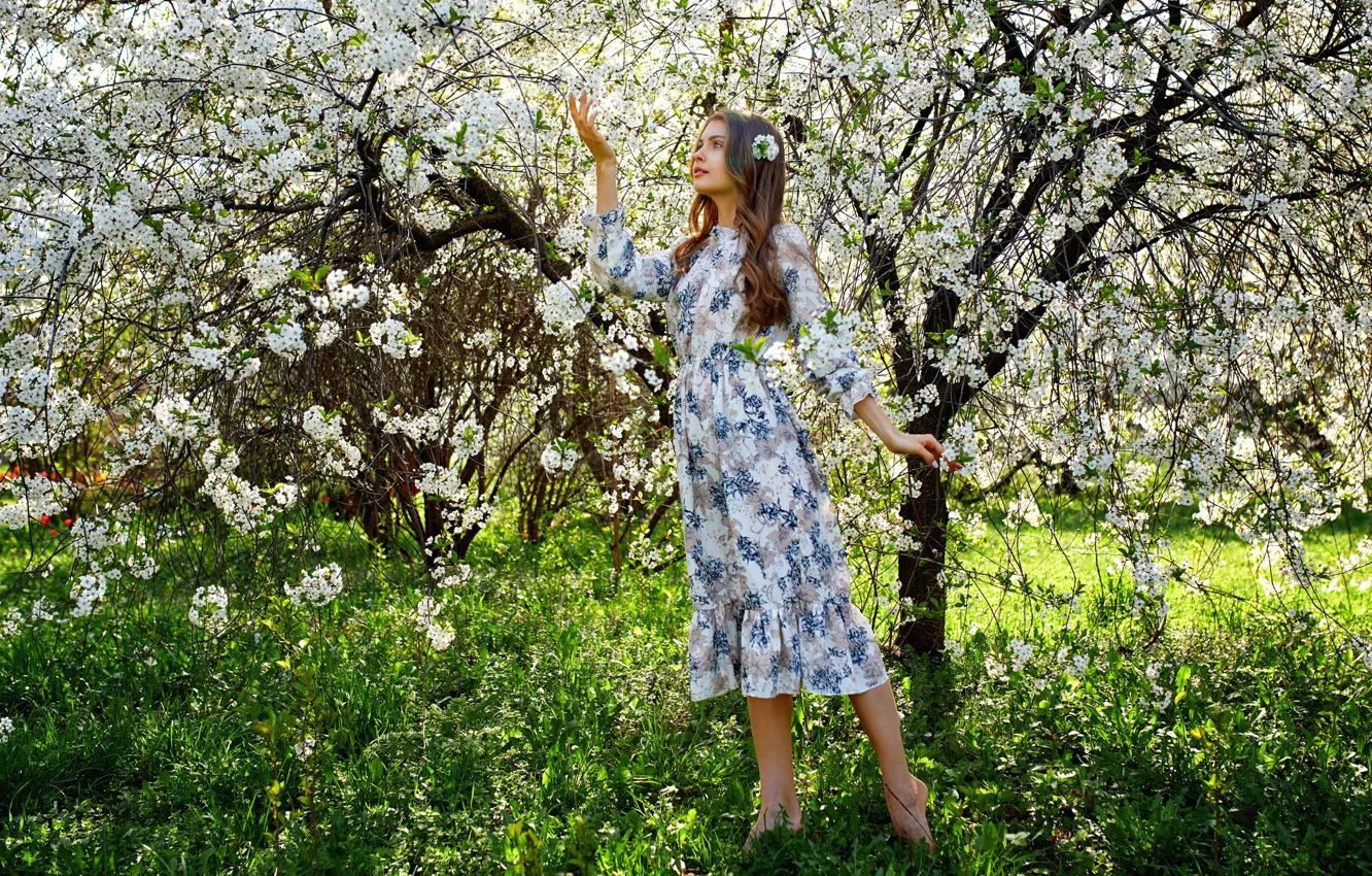 Photo wallpaper look, girl, dress, flowers, Alexander Urmashev