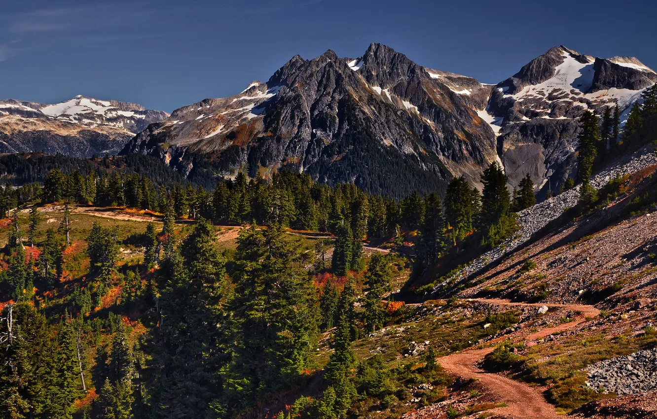 Photo wallpaper road, trees, mountains, Canada, photographer Ivan Andreevich