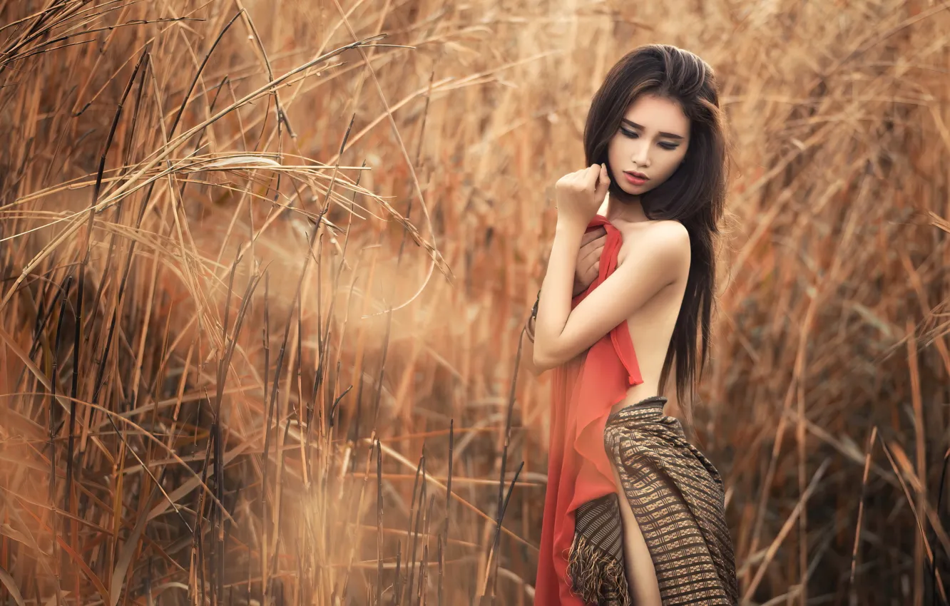 Photo wallpaper field, Nude, Novator, nup, filipinka