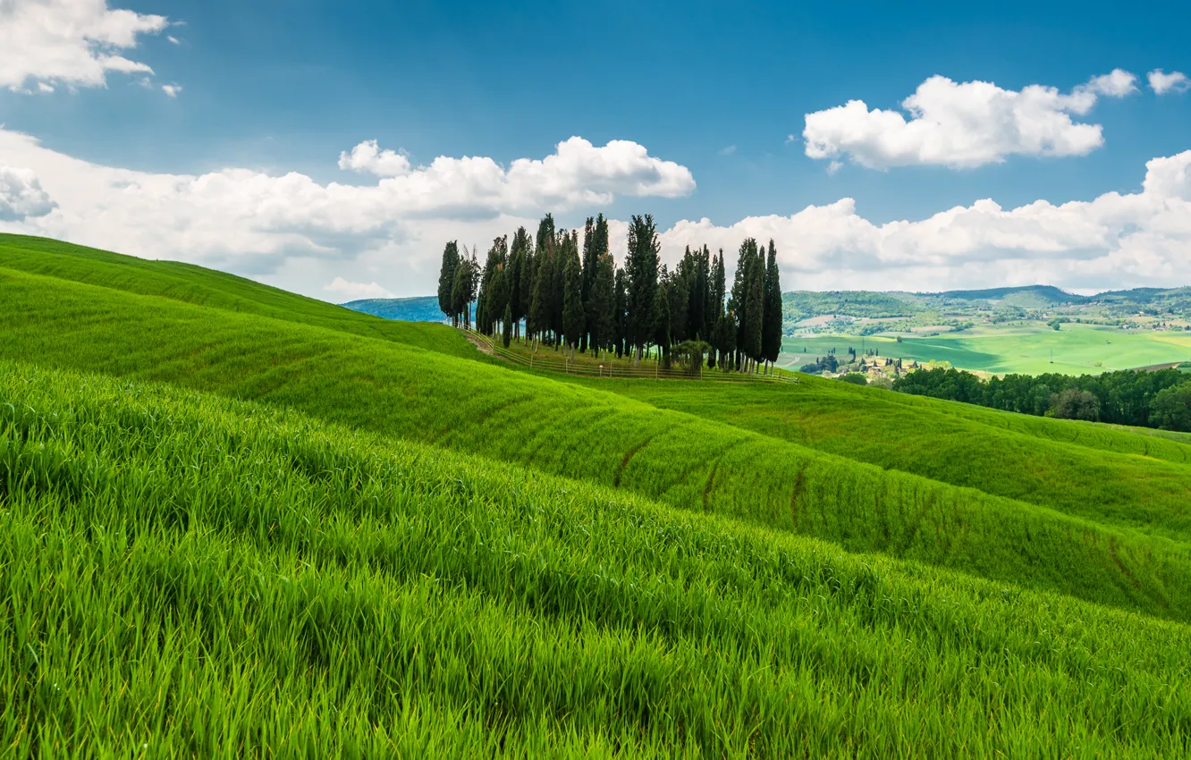 Photo wallpaper grass, trees, mountains, hills, Italy, Tuscany
