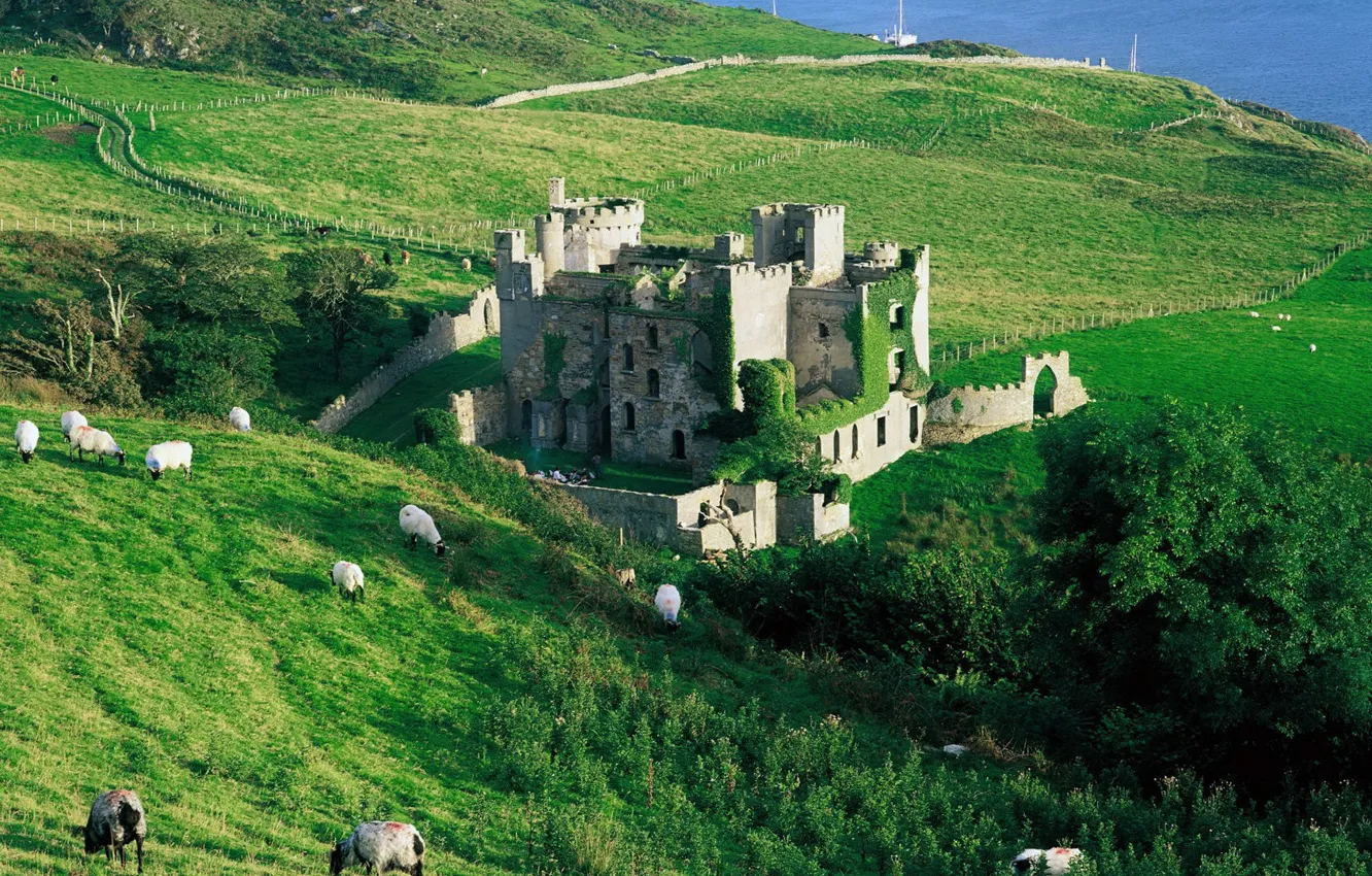 Photo wallpaper sea, grass, trees, castle, sheep, slope, the ruins