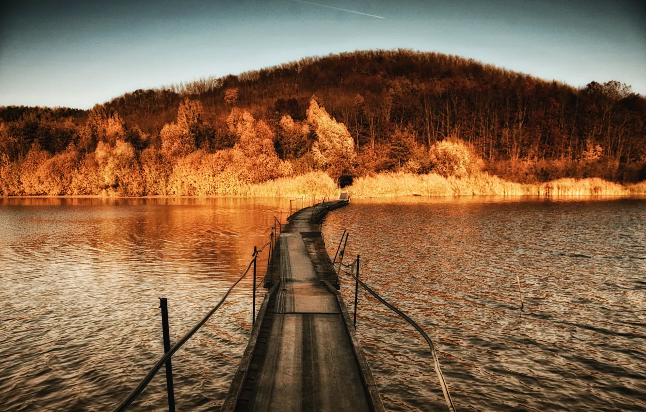 Photo wallpaper autumn, trees, bridge, river