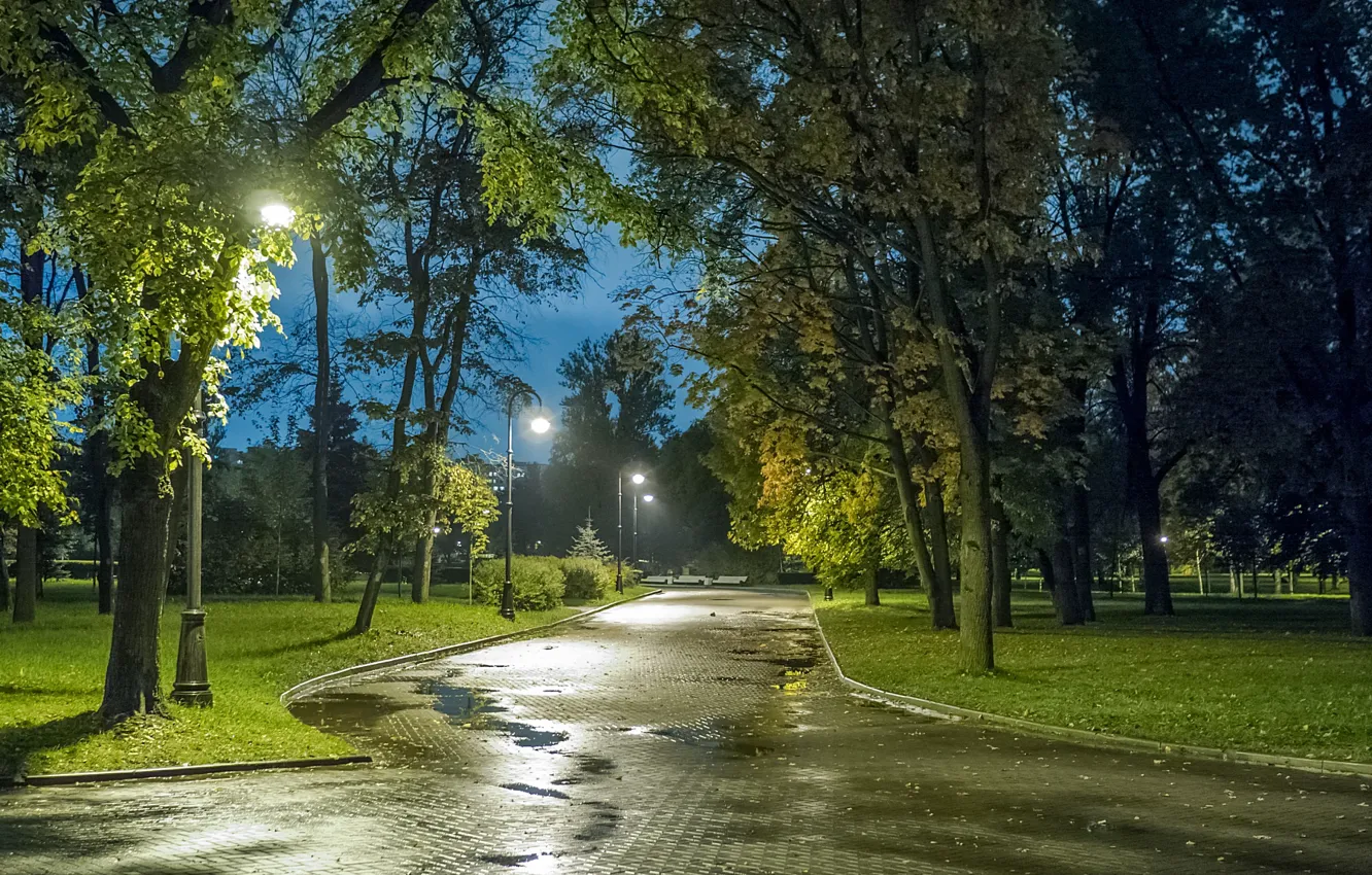 Photo wallpaper autumn, lights, Park, the evening, Saint Petersburg