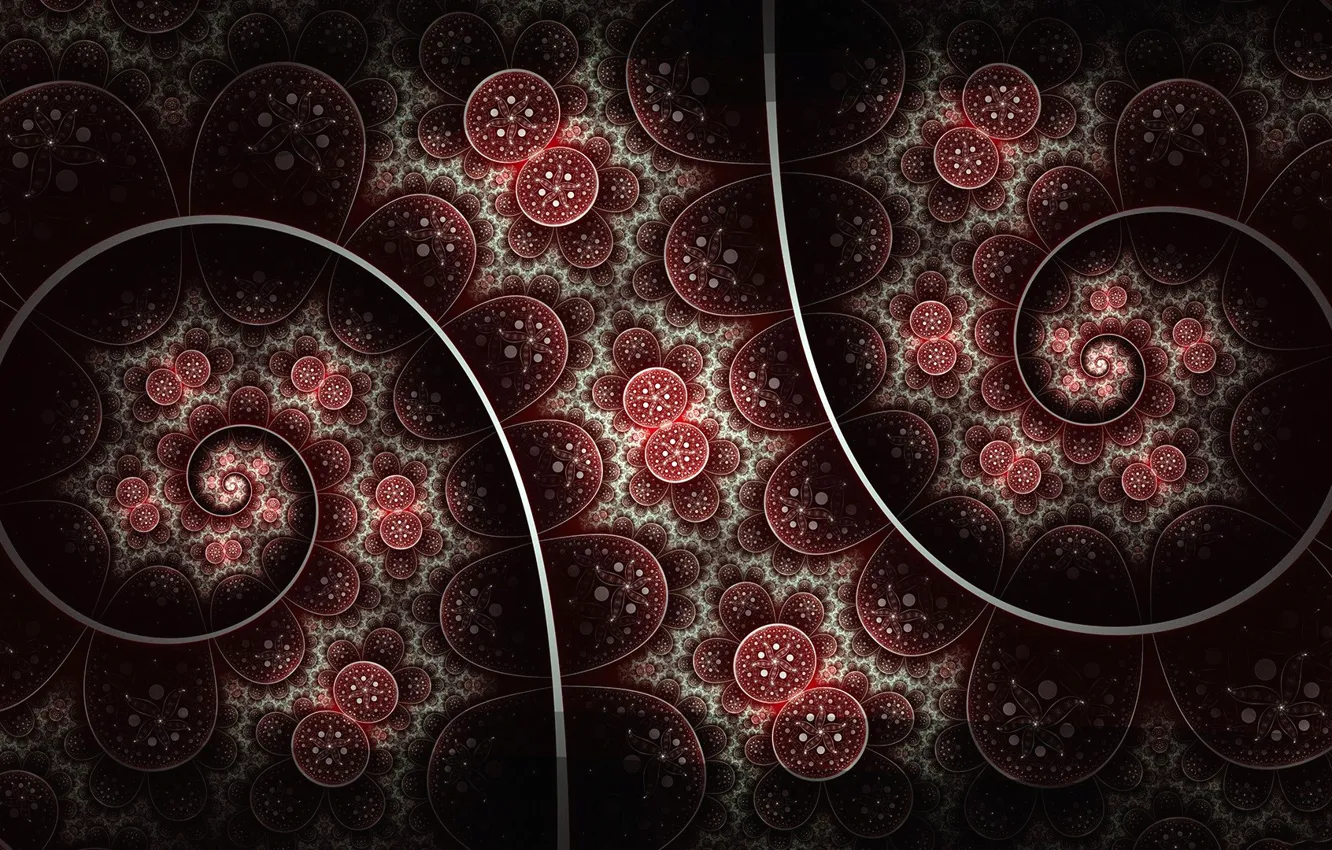 Photo wallpaper pattern, color, texture, arc, fractal