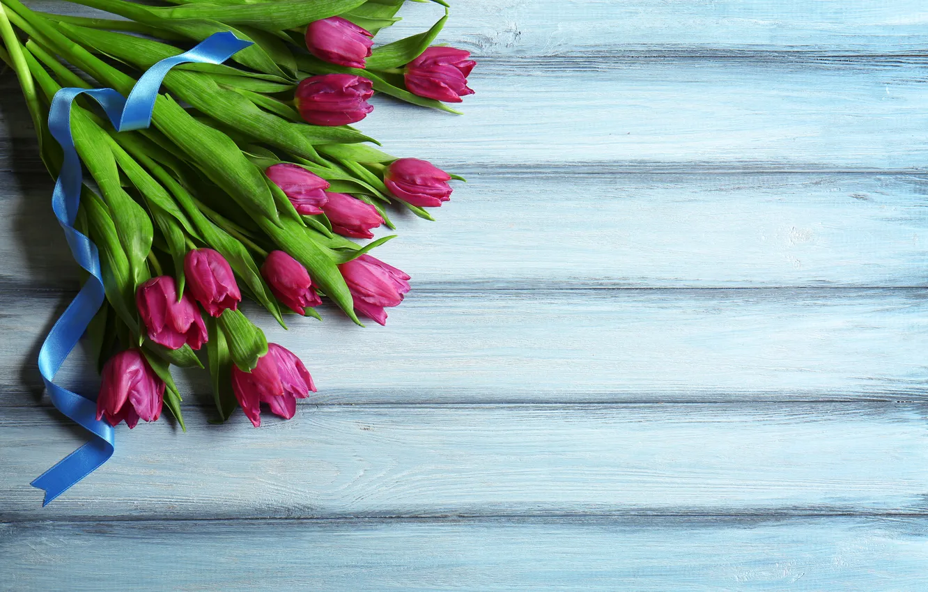 Photo wallpaper flowers, bouquet, tulips, wood, flowers, tulips, spring, purple