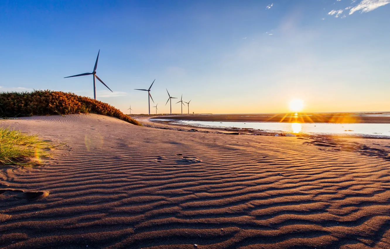 Photo wallpaper sand, shore, windmills, pond