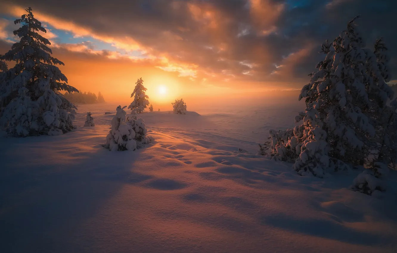 Photo wallpaper sunset, winter, snow