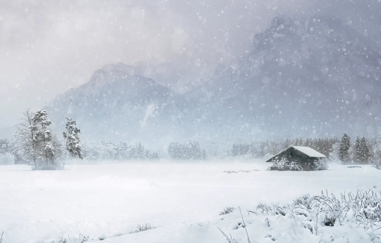Photo wallpaper winter, field, forest, snow, trees, mountains, nature, fog
