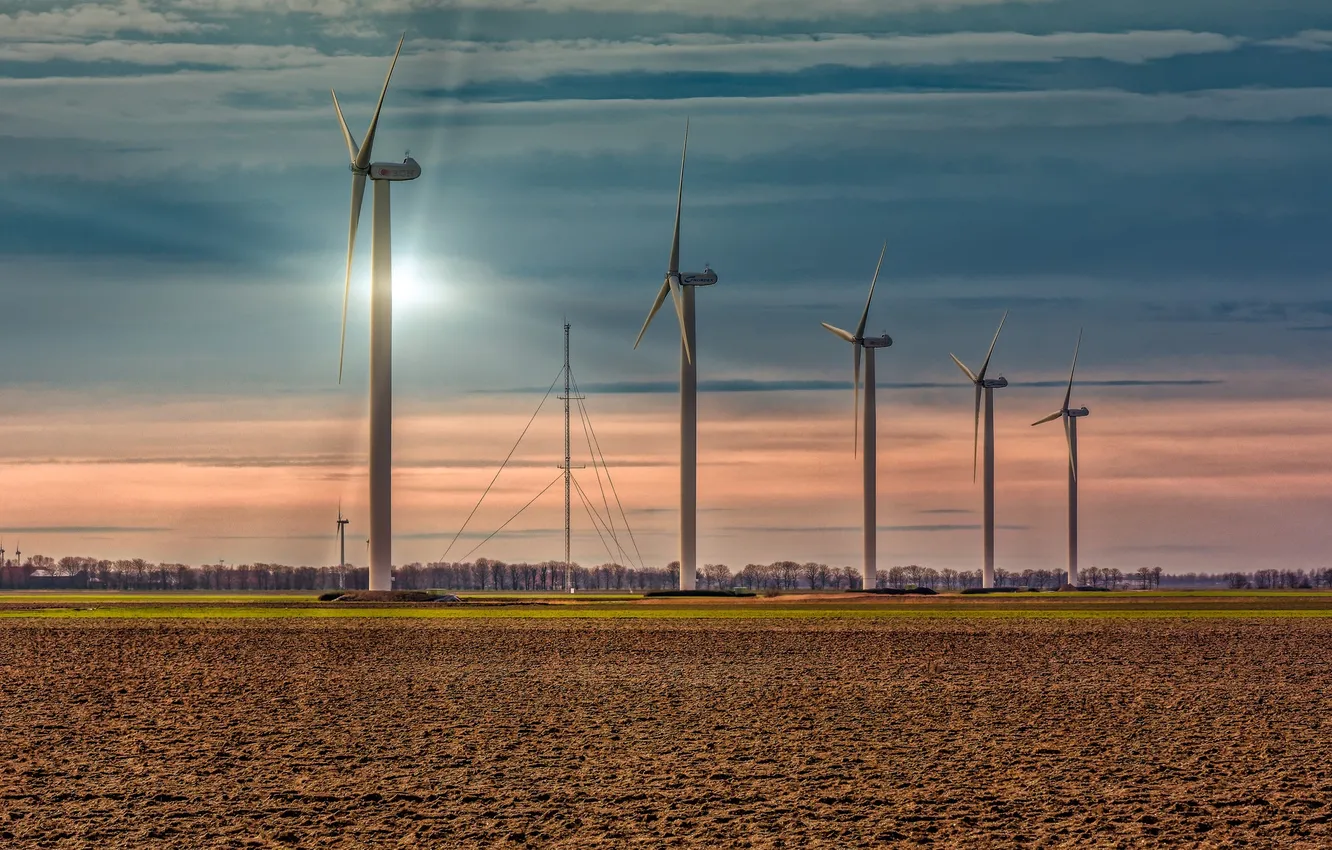 Photo wallpaper field, morning, windmills