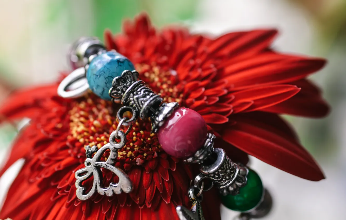 Photo wallpaper flowers, bracelet, jewelry