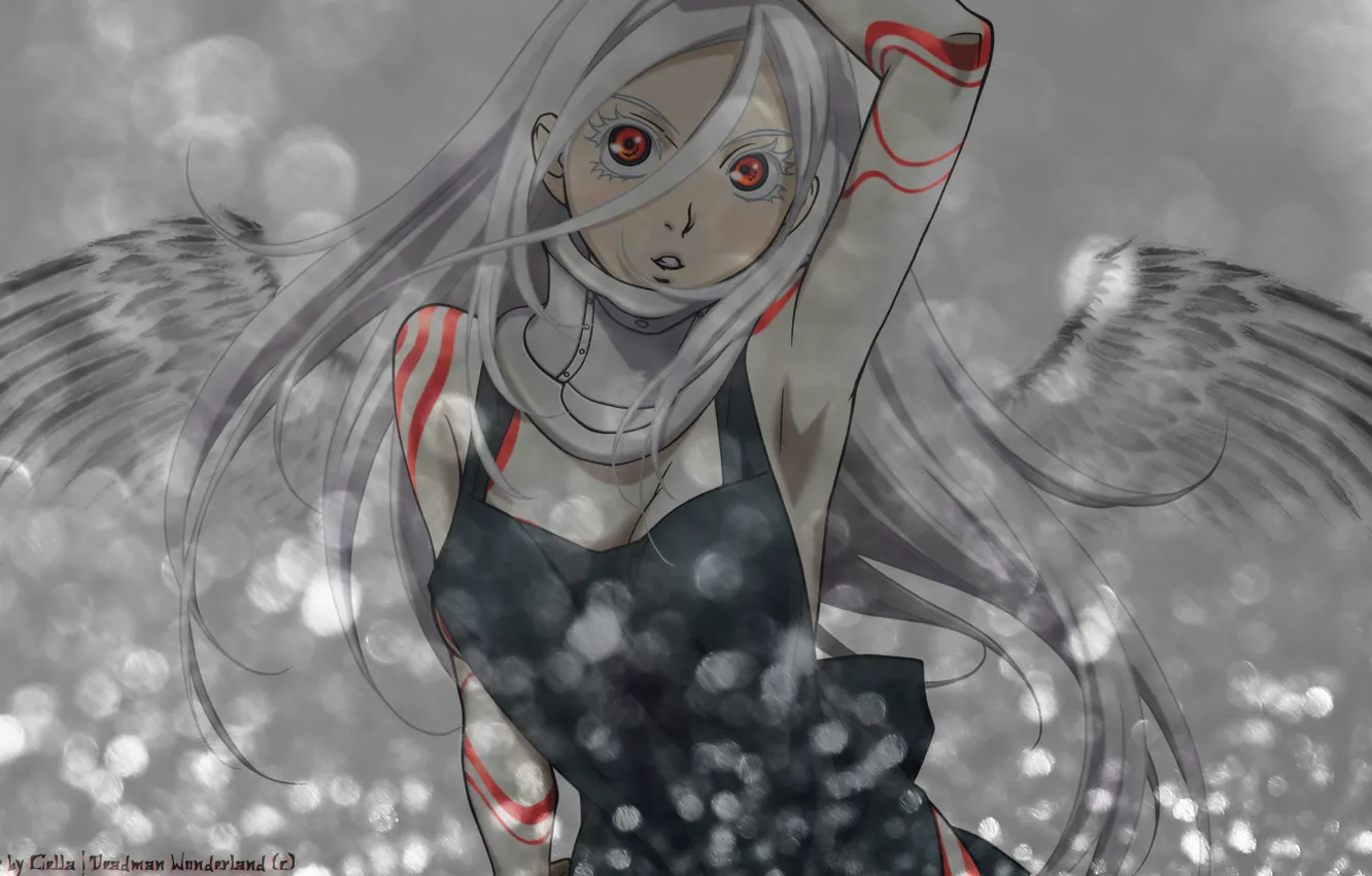 Photo wallpaper girl, wings, anime, art, red eye, Deadman Wonderland, albino, Shiro