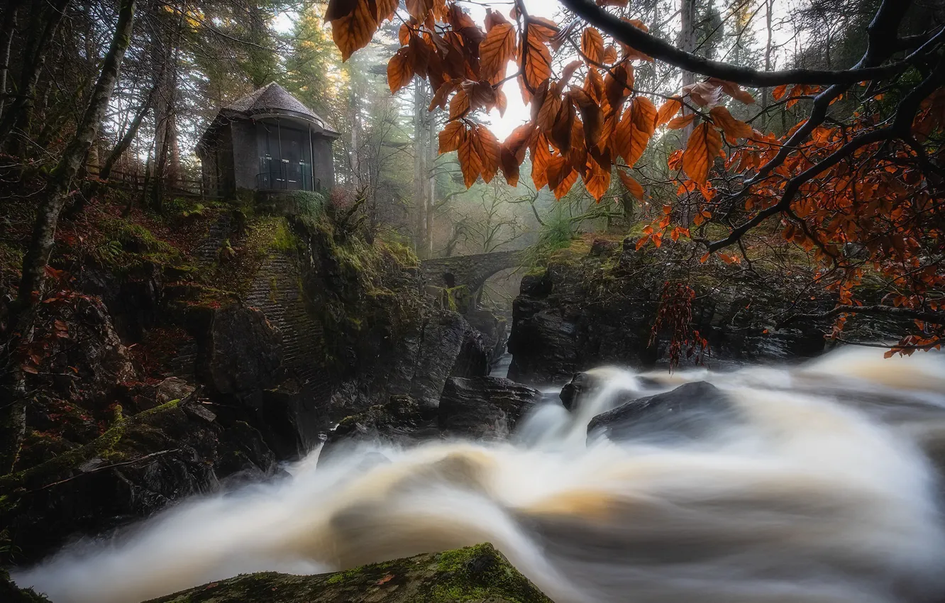 Photo wallpaper autumn, United Kingdom, scotland, Hermitage Woods