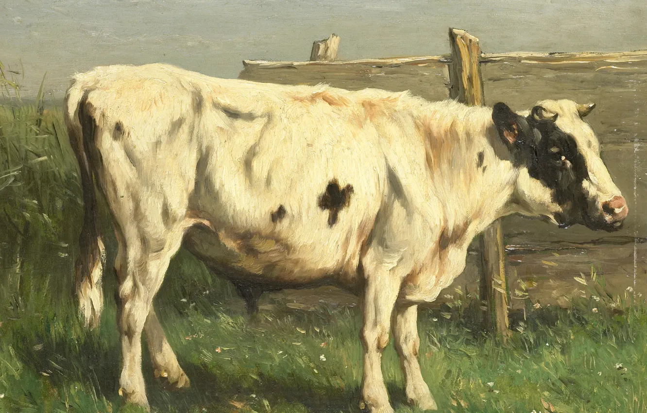 Photo wallpaper oil, picture, 1892, Johannes Hubertus Leonardus de Haas, Young bull, Johannes Hubertus Leonardus de Haas