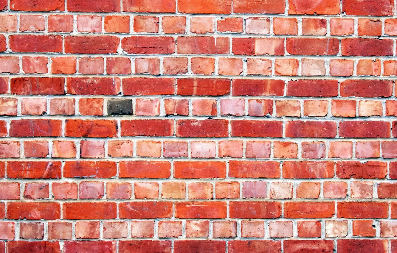 Photo wallpaper wall, brick, texture, masonry