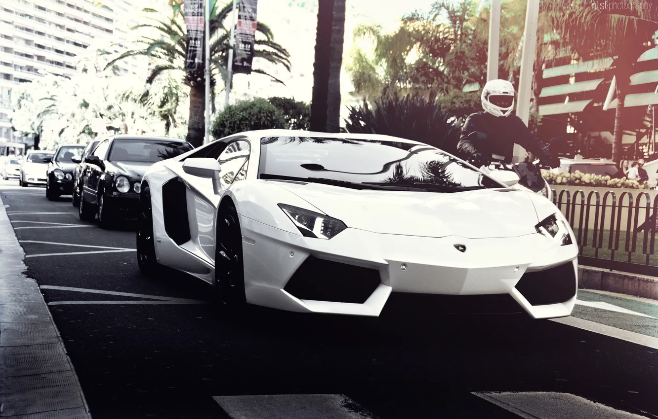 Photo wallpaper road, white, summer, the sun, the city, palm trees, street, Lamborghini