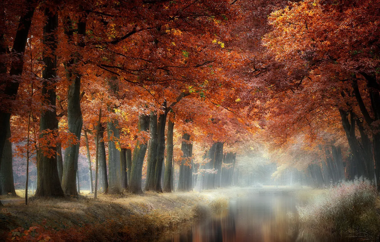 Photo wallpaper autumn, Park, channel