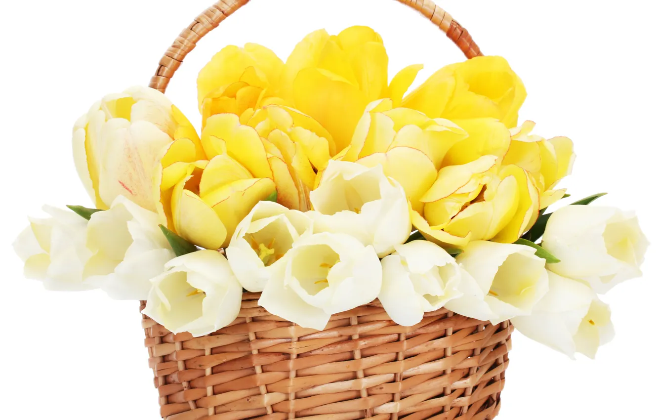 Photo wallpaper flower, flowers, nature, basket, Tulip, bouquet, spring, tulips