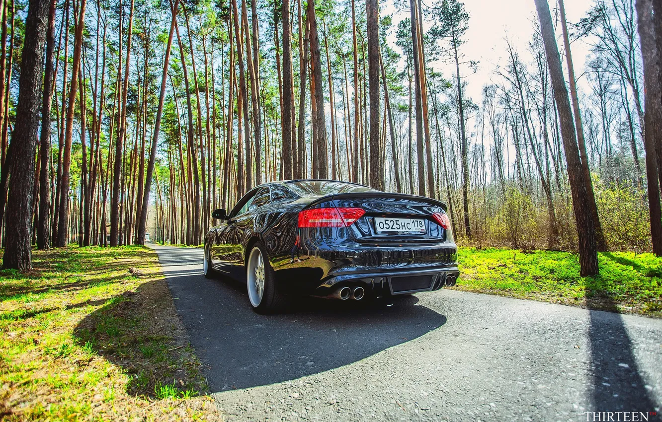 Photo wallpaper machine, auto, forest, asphalt, Audi, Audi, photographer, auto