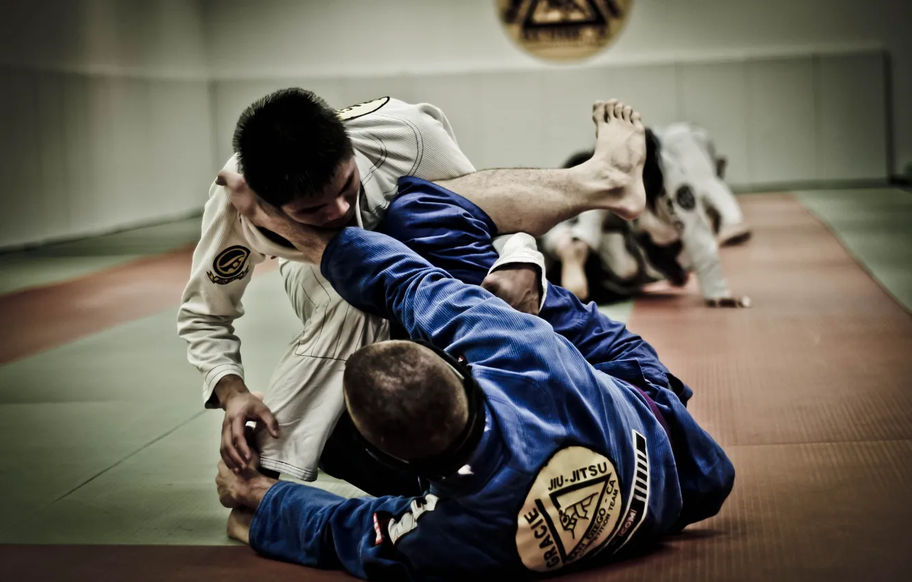 Photo wallpaper Brazilian, bjj, Grappling