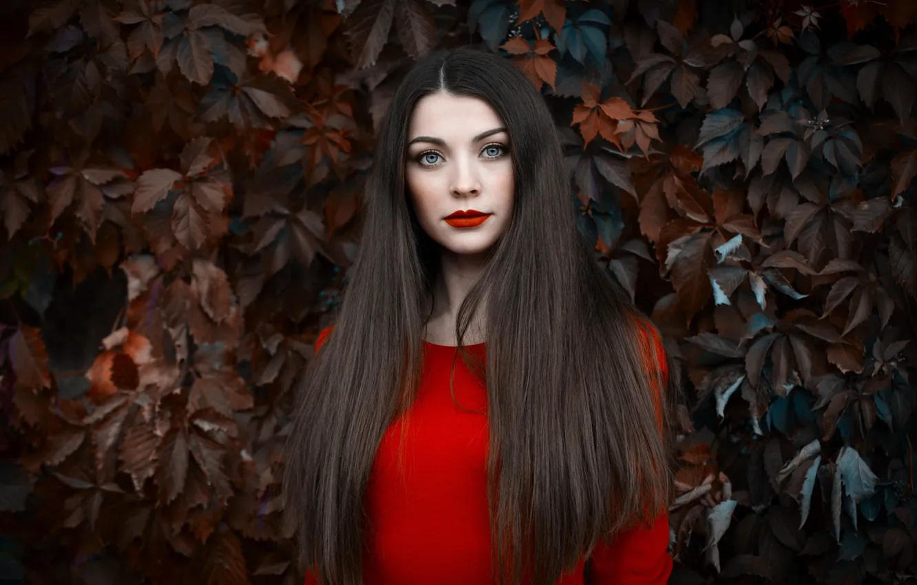 Photo wallpaper pose, look, portrait, background, model, leaves, makeup, brunette