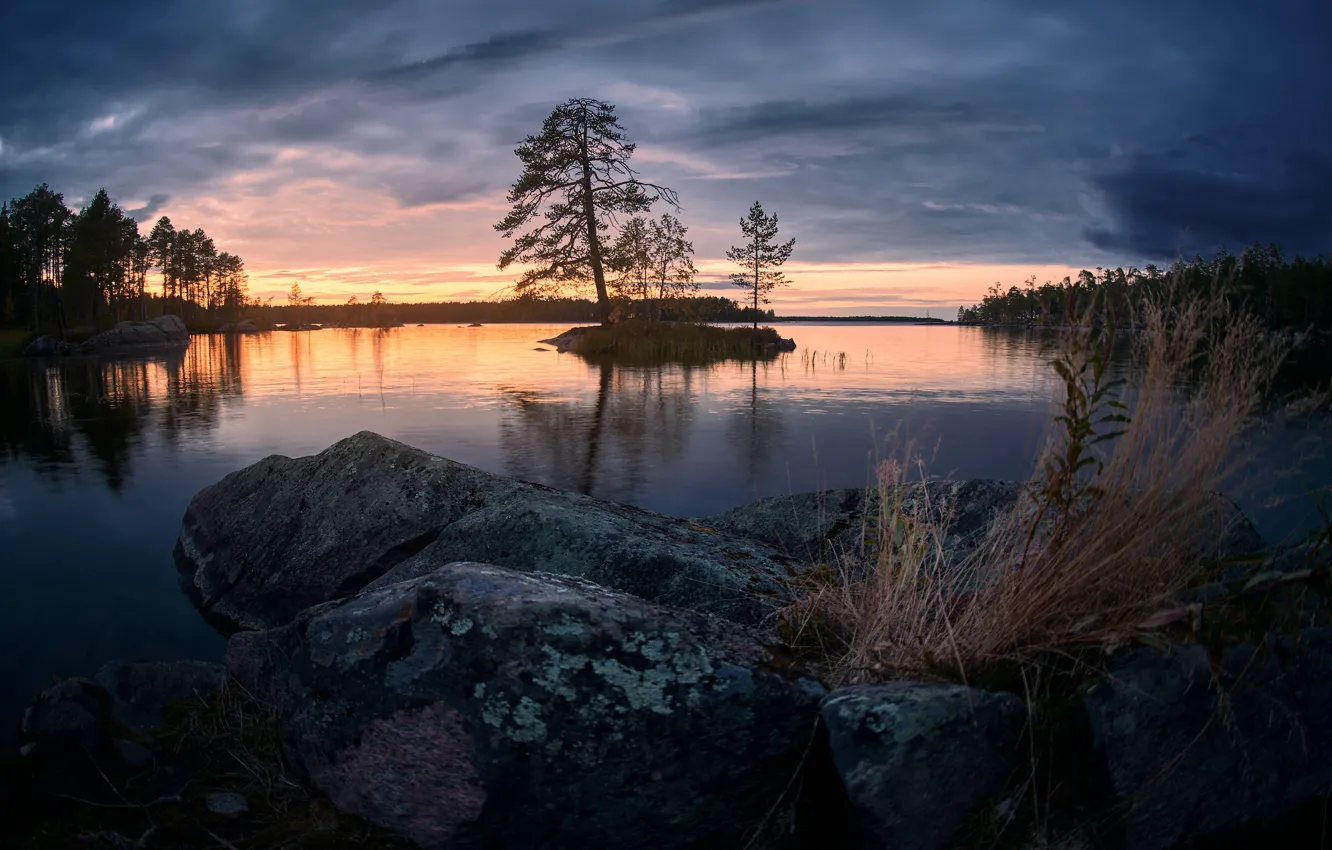 Photo wallpaper stones, island, pond, pine