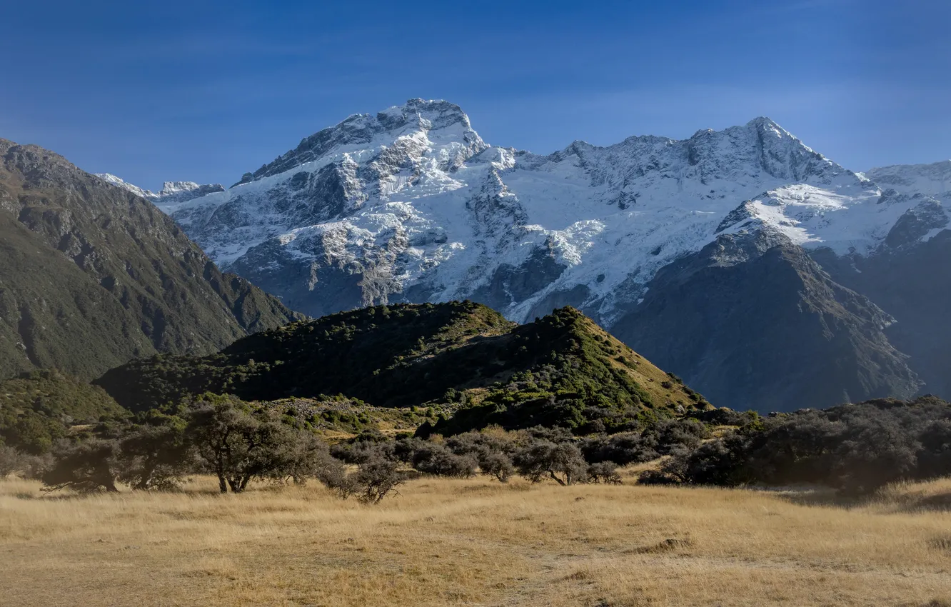 Photo wallpaper forest, sky, trees, field, landscape, New Zealand, nature, mountains