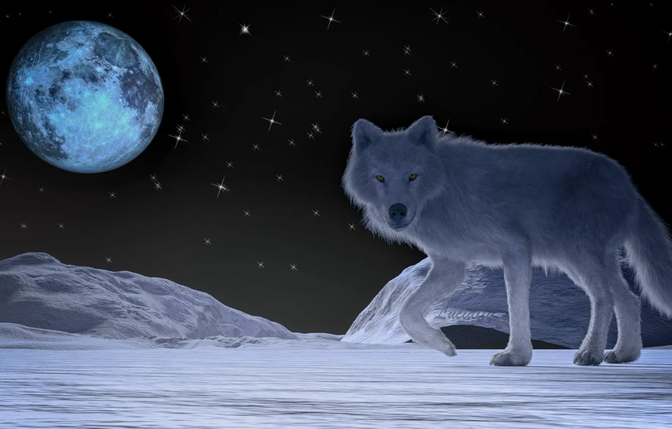Photo wallpaper night, the moon, wolf