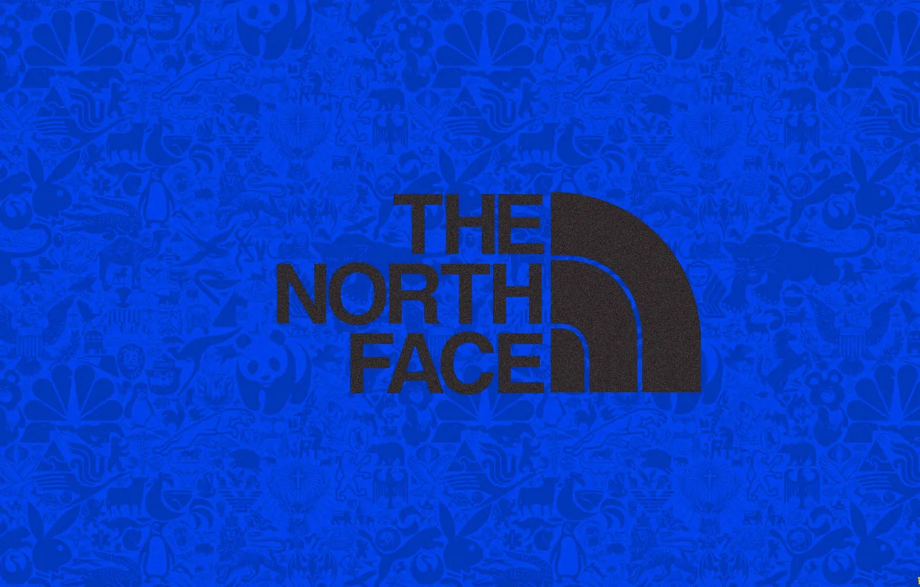 Photo wallpaper background, clothing, logo, fashion, 1920x1080, the north face, logo the north face, beautiful clothes