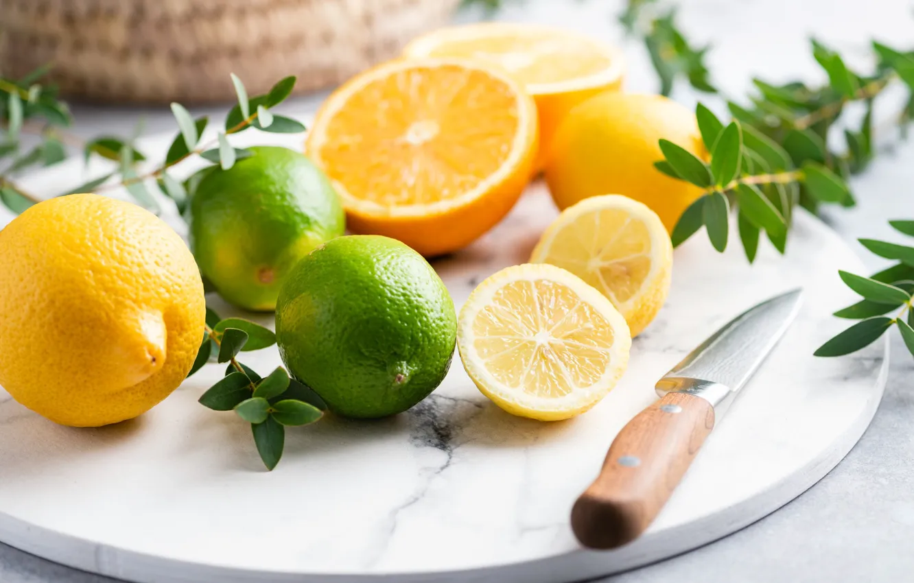 Photo wallpaper branches, oranges, knife, lime, lemons, citrus