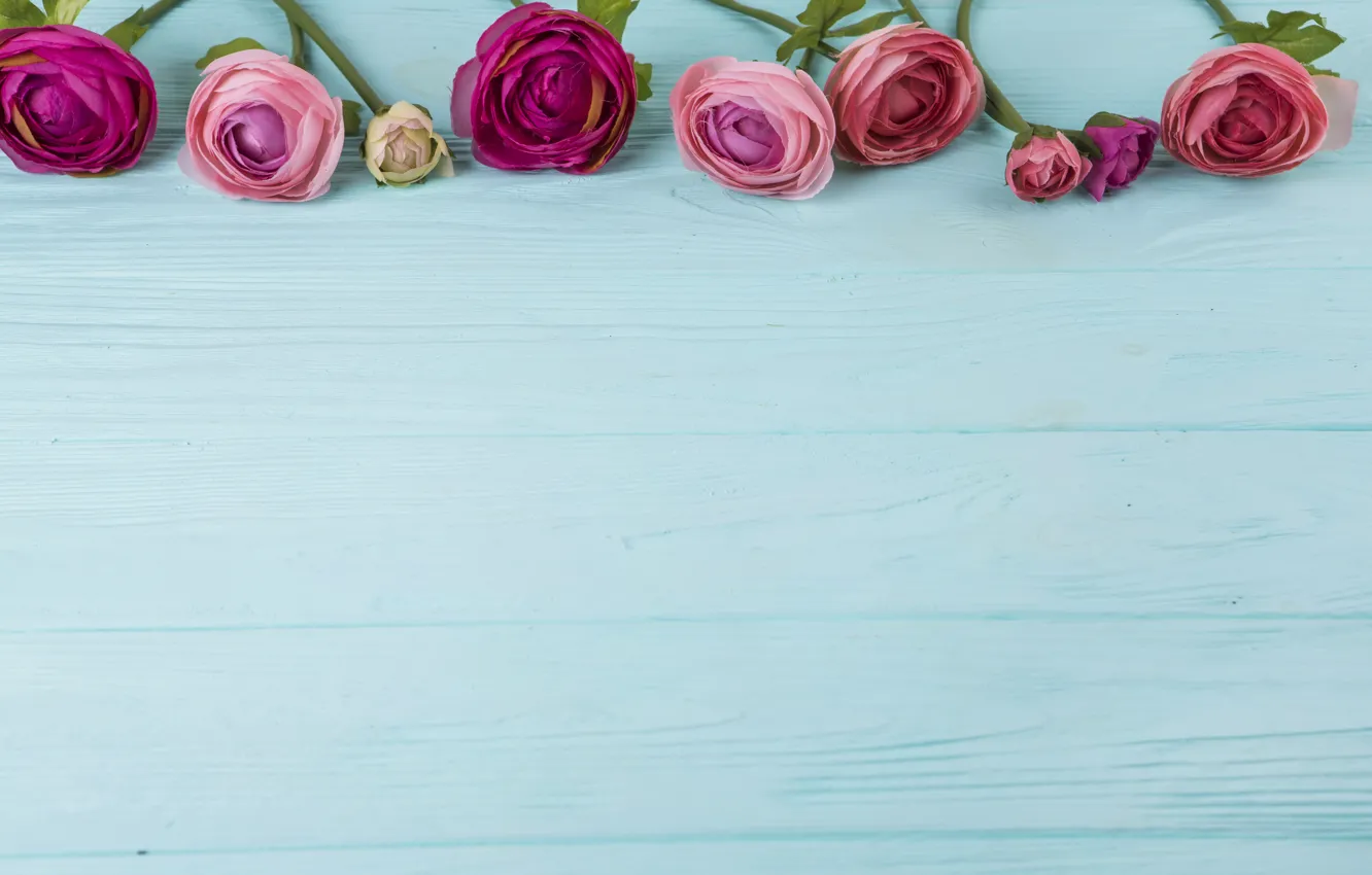 Photo wallpaper flowers, roses, pink, wood, pink, flowers, beautiful, roses