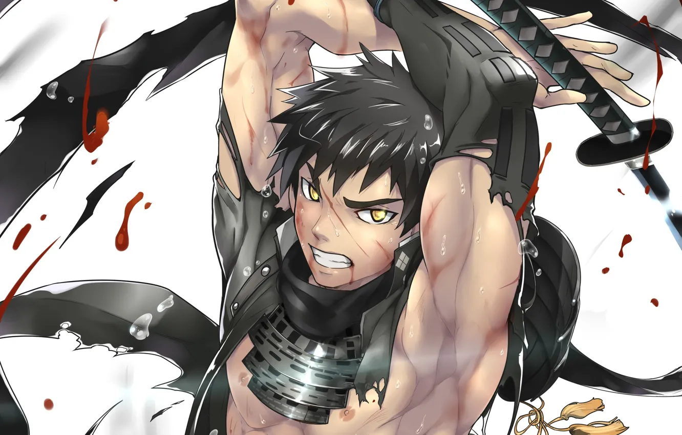 Photo wallpaper anger, sword, art, guy, swing, Touken Ranbu