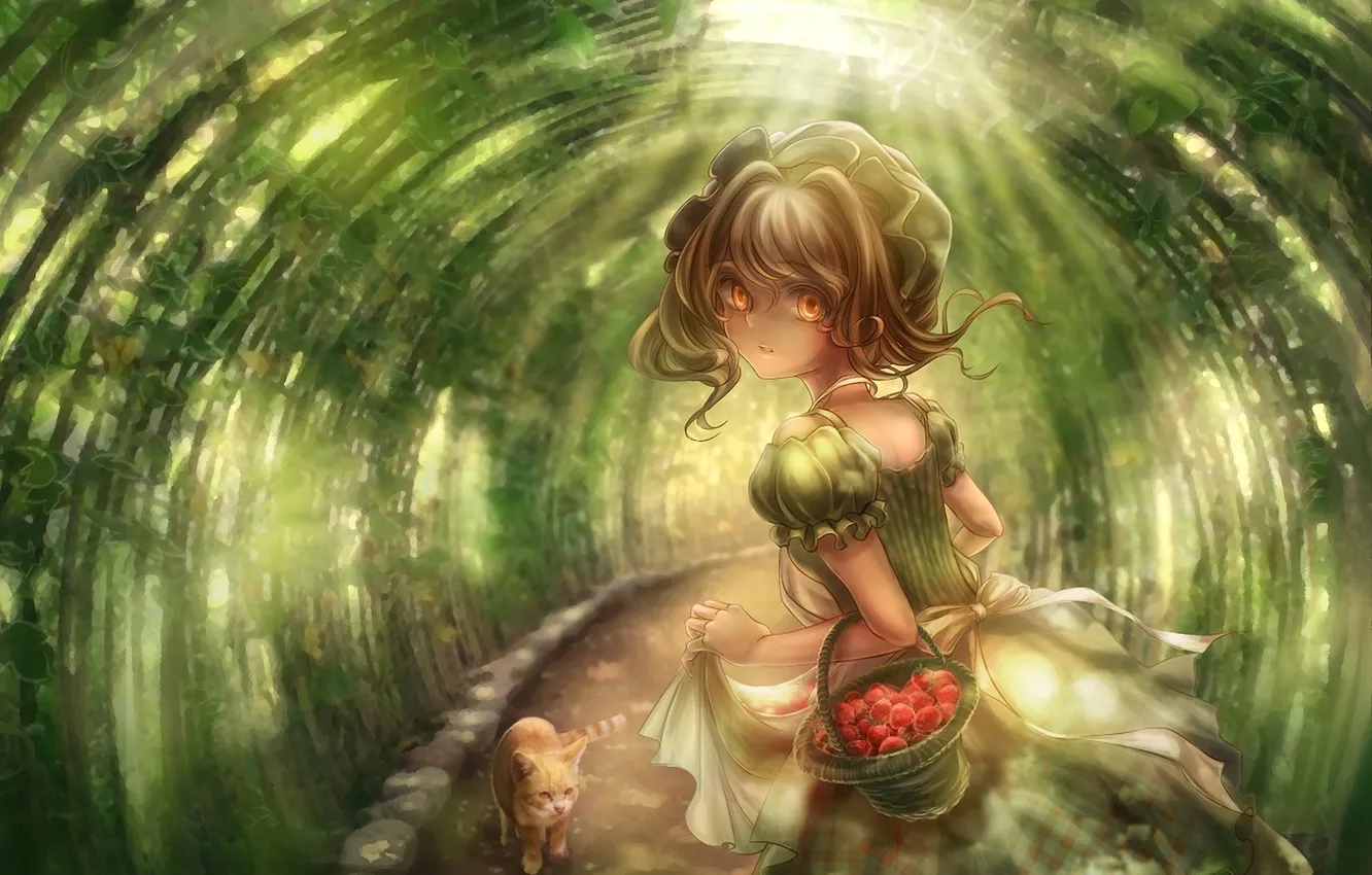Photo wallpaper greens, cat, cat, basket, dress, strawberry, art, track