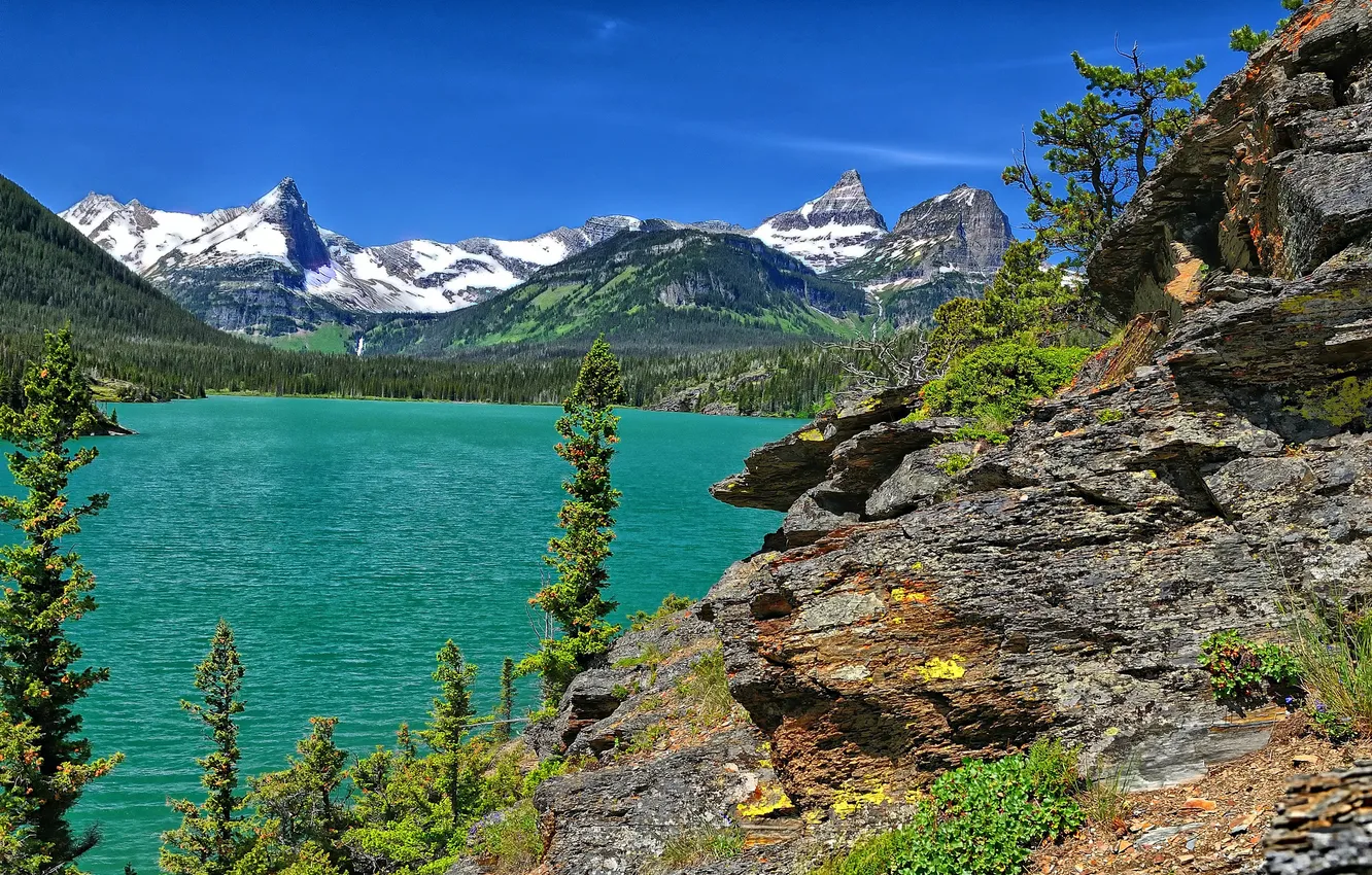 Photo wallpaper trees, mountains, lake, Glacier National Park, Saint Mary Lake, Montana