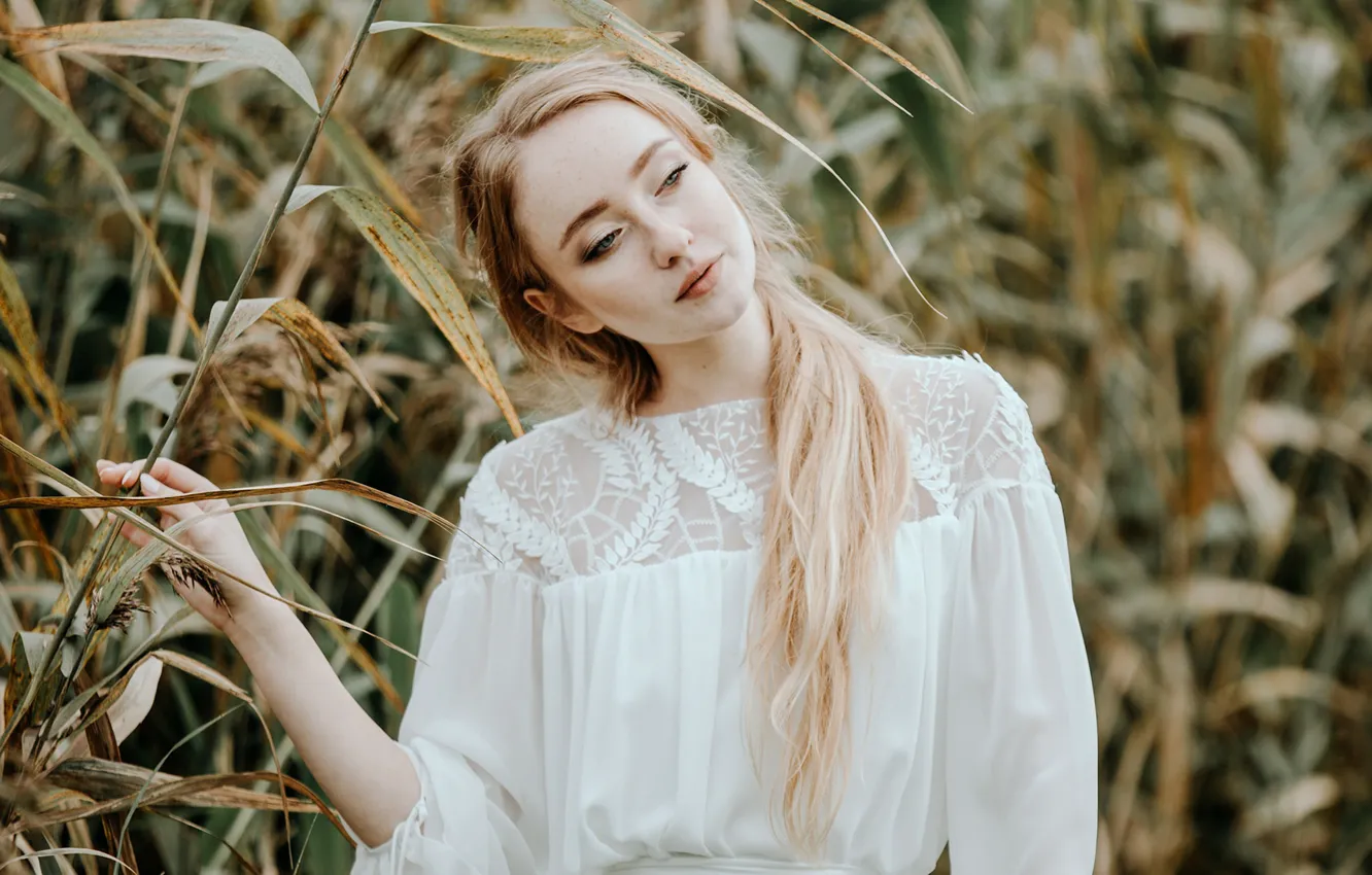 Photo wallpaper look, girl, portrait