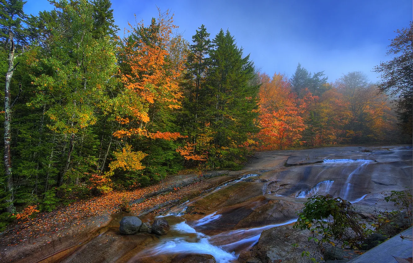 Photo wallpaper autumn, forest, the sky, trees, river, stones, rocks