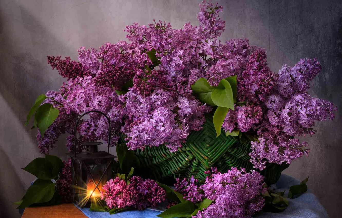 Photo wallpaper basket, lantern, still life, lilac