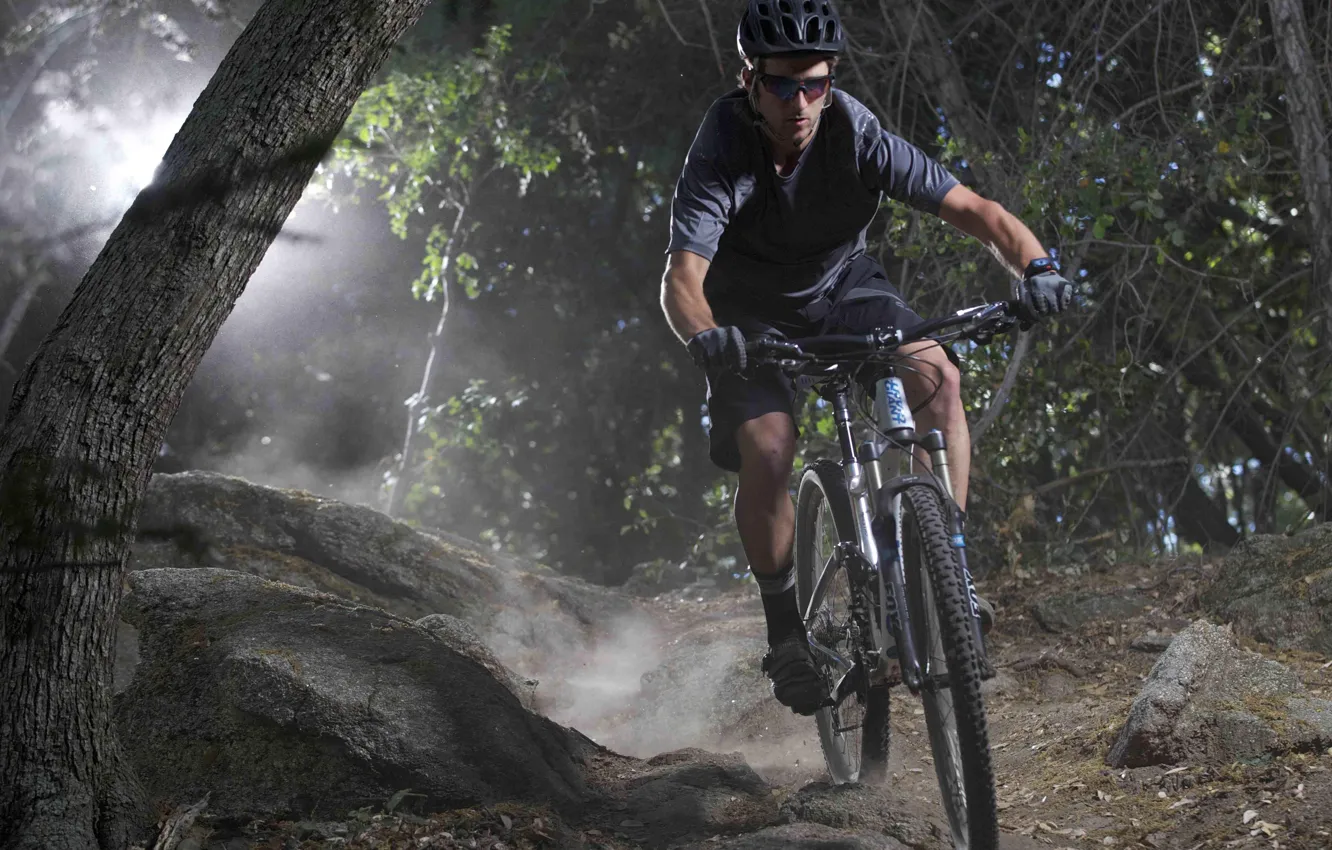 Photo wallpaper forest, sport, athlete, nature, man, mountain bike, cyclist