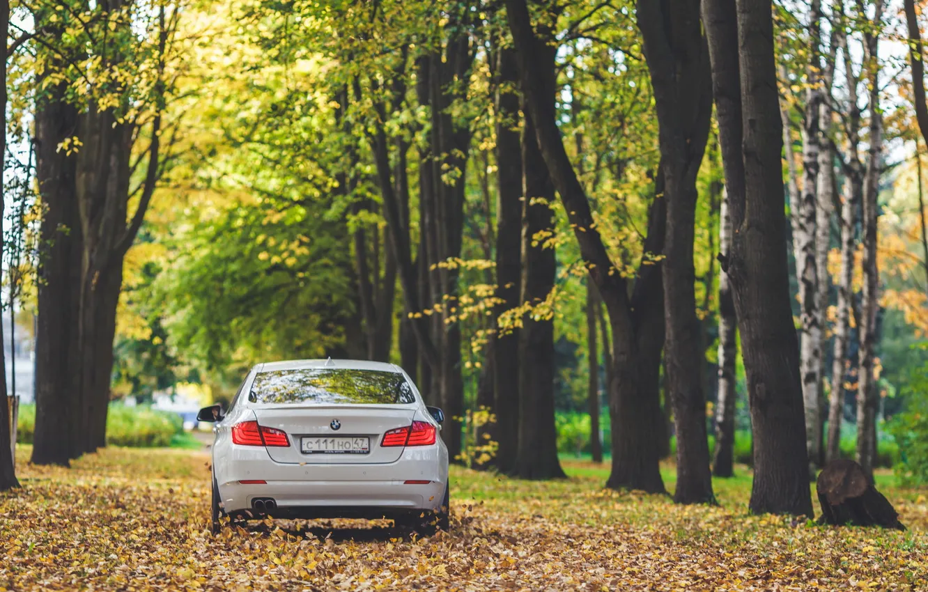 Photo wallpaper autumn, leaves, BMW, white, F10, 5 Series