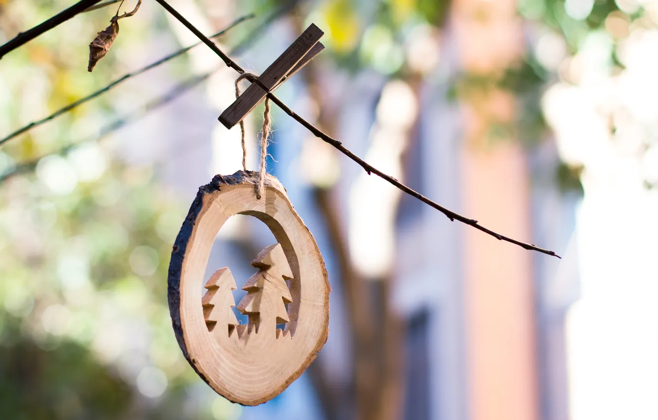 Photo wallpaper macro, background, toy