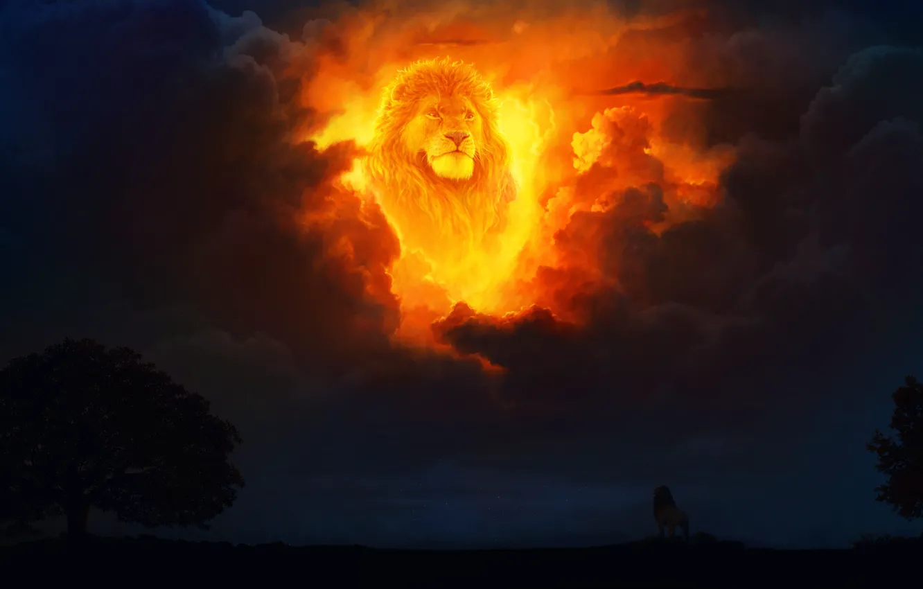 Photo wallpaper Clouds, The evening, Figure, Style, Clouds, Leo, Africa, Predator