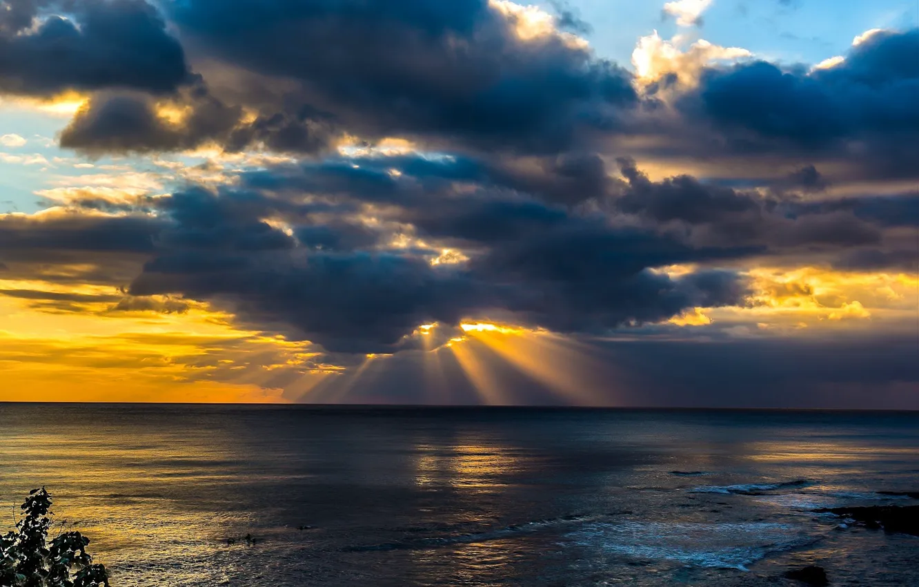 Photo wallpaper sea, clouds, sunset, coast