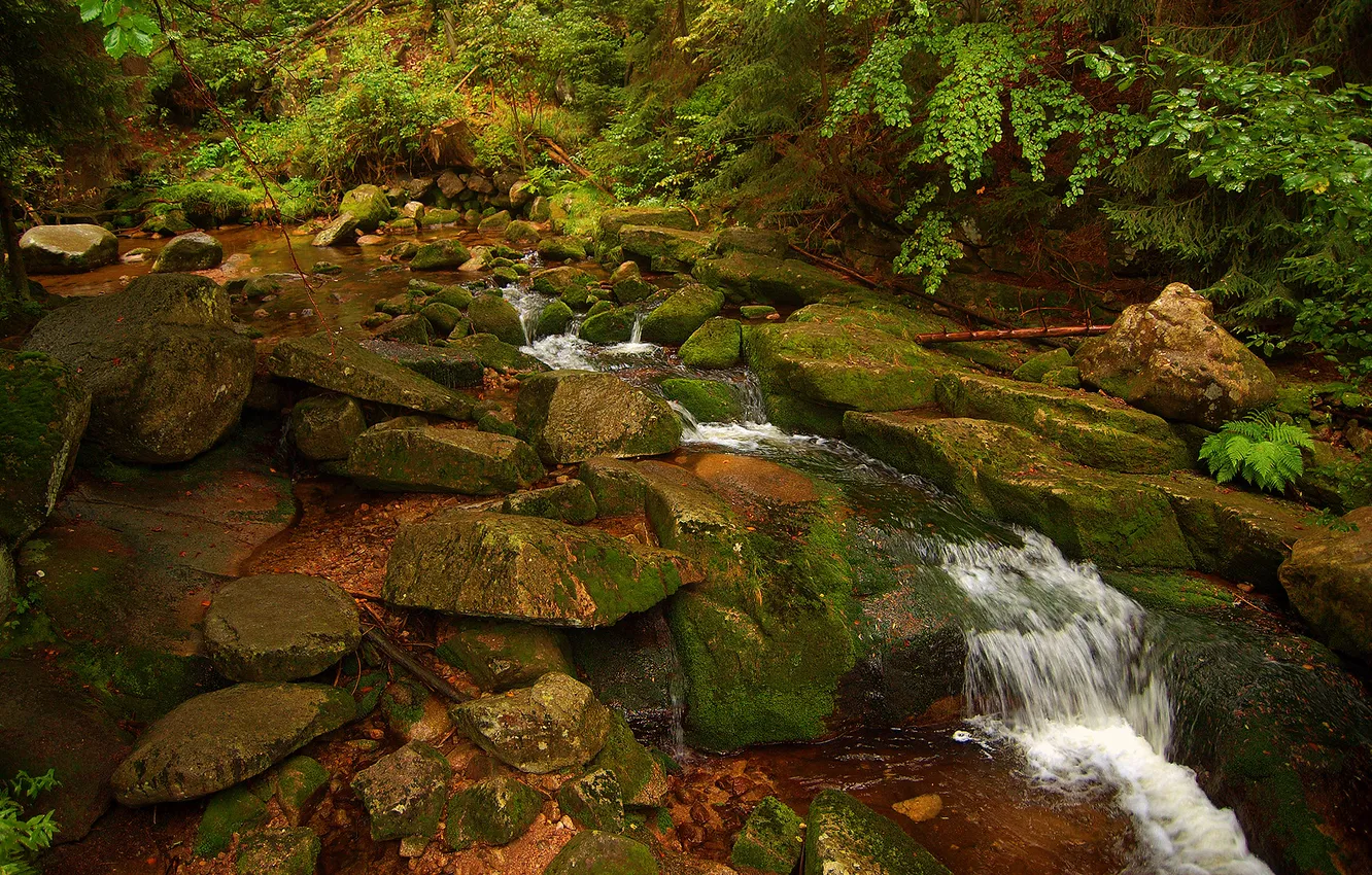 Photo wallpaper water, stones, waterfall