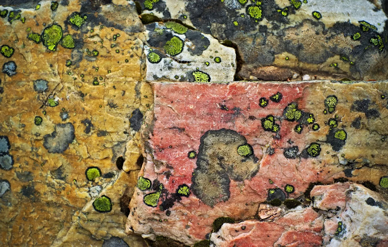 Photo wallpaper background, stone, texture