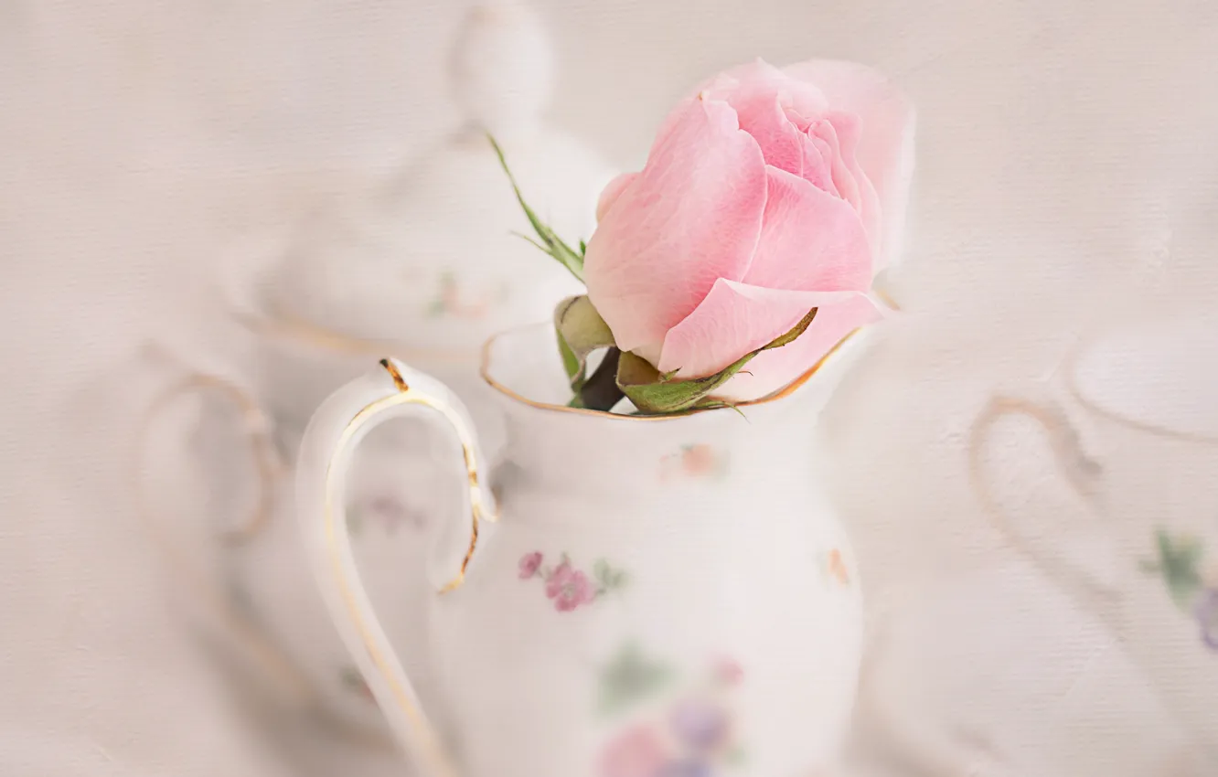 Photo wallpaper rose, dishes, pitcher