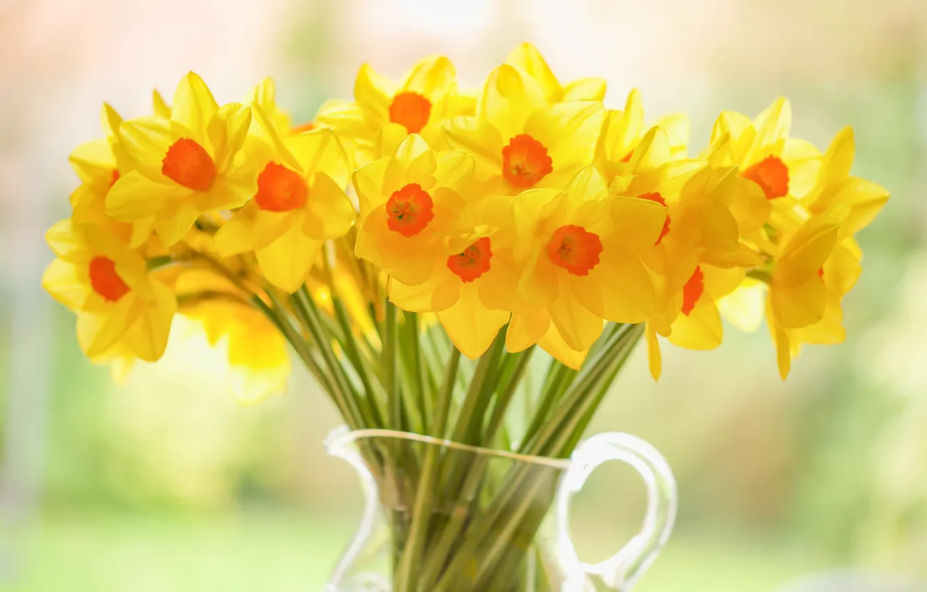Photo wallpaper yellow, bouquet, pitcher, daffodils