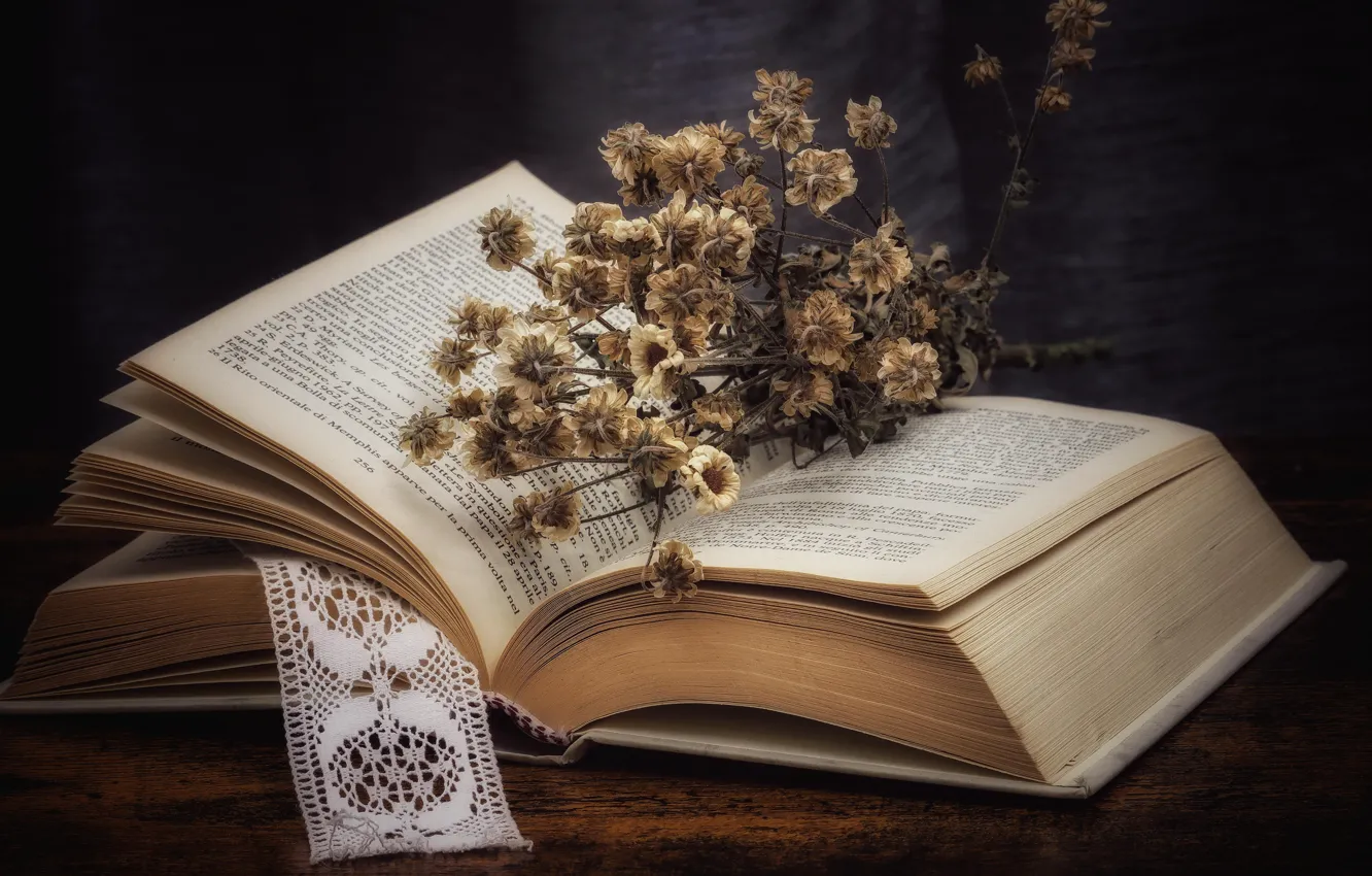 Photo wallpaper flowers, the dark background, Board, chamomile, book, white, still life, page
